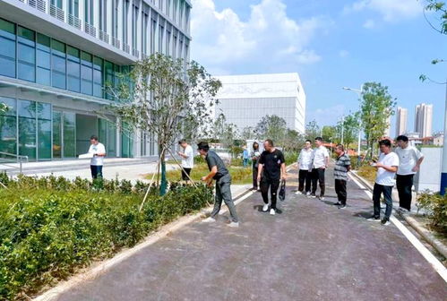蔡甸推动高质量发展 为市民办实事