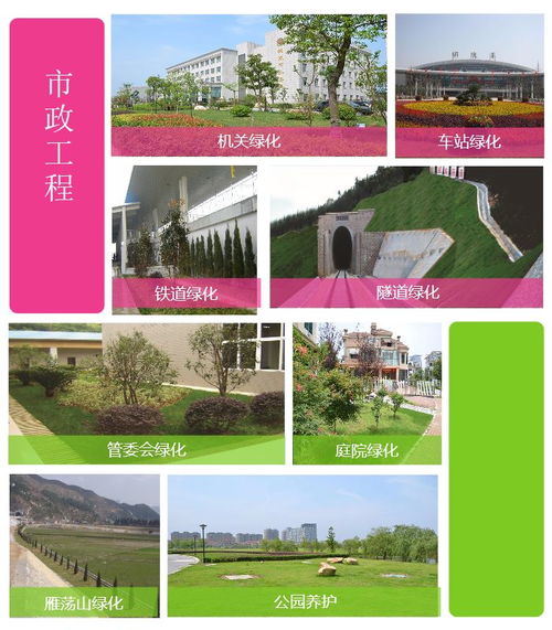 绿化苗木 百通生态环境 购买绿化苗木