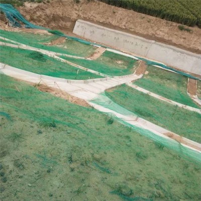 衡阳园林绿化工程三维植被网企业