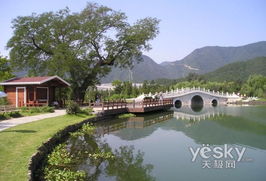 回顾发展的60年 1990年至1999年的北京