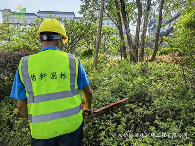 怡轩园林绿化公司为惠州绿色动力提供高质量的厂区绿化养护服务
