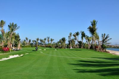 山东顺和园林绿化工程签约建文软件，携手推动园林工程信息化进程