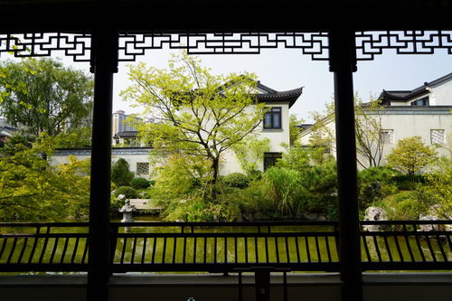 热烈祝贺我司六个项目荣获2019年度杭州市优秀园林绿化工程金奖