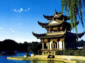 Met Gala与吴中园林绿化 跨越时空的时尚艺术对话